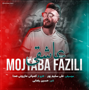 مجتبی فاضلی عاشقی